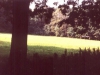Peres059