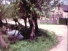 Peres064